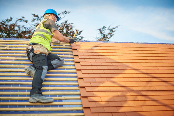 Best Sheet Metal Roofing  in Marietta Alderwood, WA